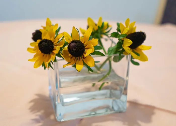 דירה Nevenka זאדאר