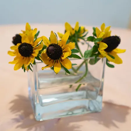 Apartamento Nevenka Zadar